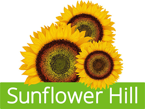 Sunflower Hill